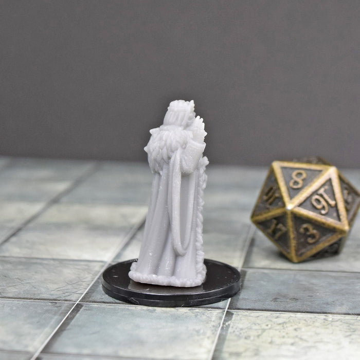 Dnd miniature King is 3D Printed for tabletop wargaming minis and dnd figures-Miniature-Vae Victis- GriffonCo Shoppe