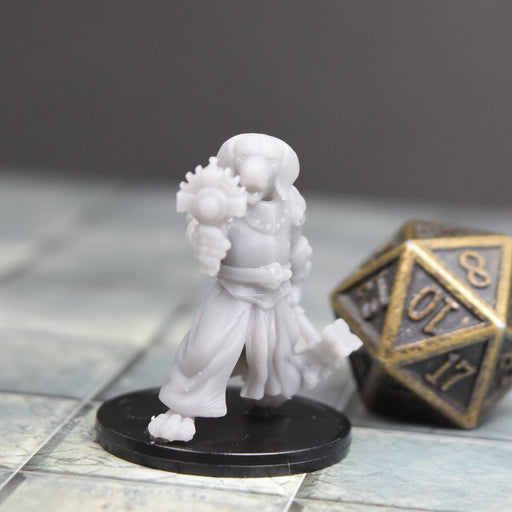 Miniature dnd figures Beagle Dog Cleric 3D printed for tabletop wargames and miniatures-Miniature-Duncan Shadow- GriffonCo Shoppe