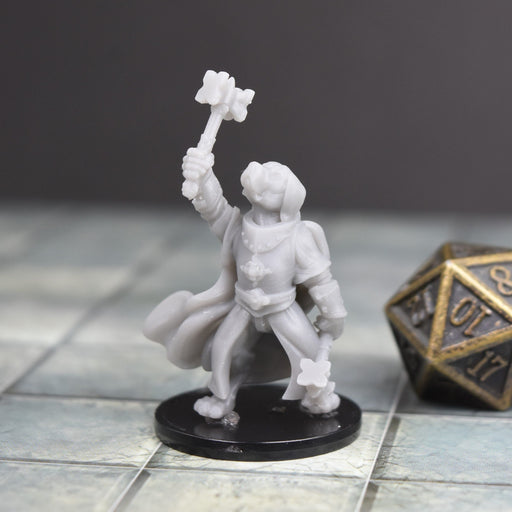 Miniature dnd figures Beagle Dog Paladin 3D printed for tabletop wargames and miniatures-Miniature-Duncan Shadow- GriffonCo Shoppe
