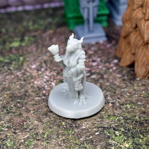 Miniature dnd figures Female Dragonborn Noble 3D printed for tabletop wargames and miniatures-Miniature-EC3D- GriffonCo Shoppe