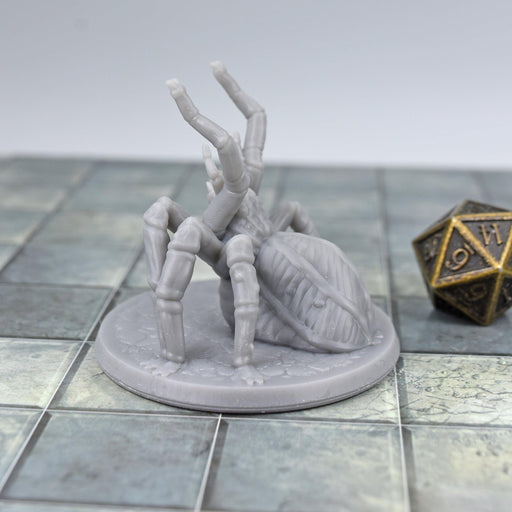 Miniature dnd figures Giant Spider Attacking 3D printed for tabletop wargames and miniatures-Miniature-EC3D- GriffonCo Shoppe