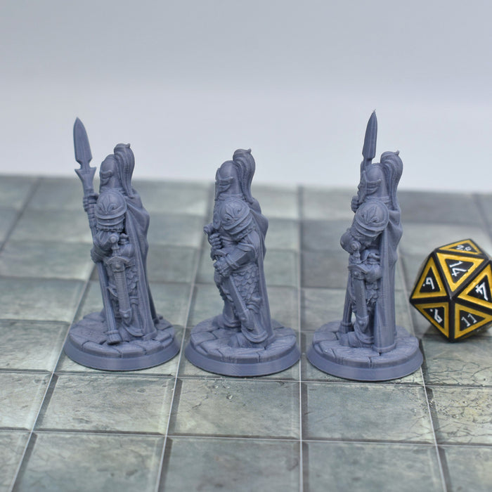 Miniature dnd figures Knight Guards 3D printed for tabletop wargames and miniatures-Miniature-Vae Victis- GriffonCo Shoppe
