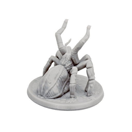 Miniature dnd figures Spider 3D printed for tabletop wargames and miniatures-Miniature-Brite Minis- GriffonCo Shoppe