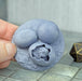 Tabletop wargaming terrain Dragon Eggs Hatched for dnd accessories-Scatter Terrain-Fat Dragon Games- GriffonCo Shoppe