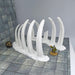 Tabletop wargaming terrain Rib Bone Remains for dnd accessories-Scatter Terrain-EC3D- GriffonCo Shoppe