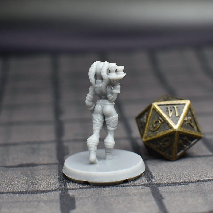dnd miniature Alien Waitress for dungeons and slaying dragons in tabletop wargaming.-Miniature-EC3D- GriffonCo Shoppe