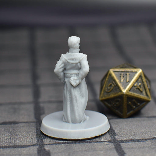 dnd miniature Ambassador Craine for dungeons and slaying dragons in tabletop wargaming.-Miniature-EC3D- GriffonCo Shoppe