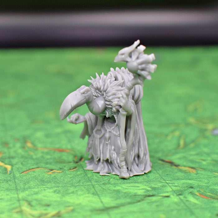 dnd miniature Birdfolk Necromancer for dungeons and slaying dragons in tabletop wargaming.-Miniature-Lost Adventures- GriffonCo Shoppe