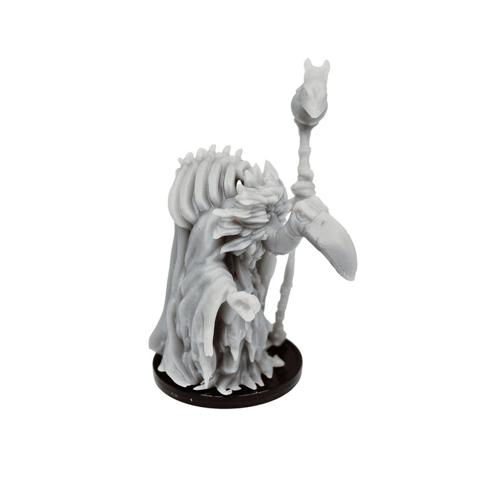 dnd miniature Birdfolk Necromancer for dungeons and slaying dragons in tabletop wargaming.-Miniature-Lost Adventures- GriffonCo Shoppe