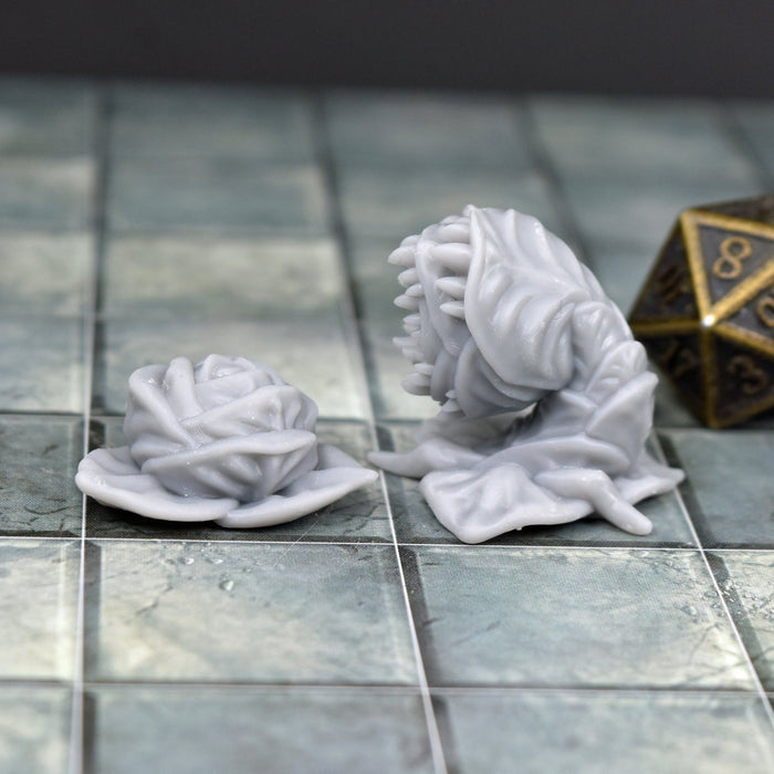 dnd miniature Cabbage Mimic for dungeons and slaying dragons in tabletop wargaming.-Miniature-Korte- GriffonCo Shoppe