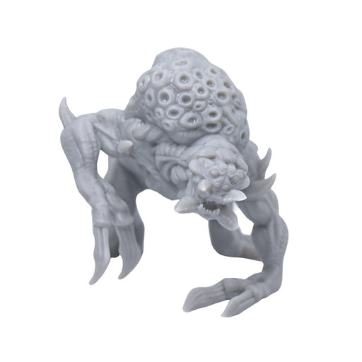 dnd miniature Ettercap Matriarch for dungeons and slaying dragons in tabletop wargaming.-Miniature-Lost Adventures- GriffonCo Shoppe