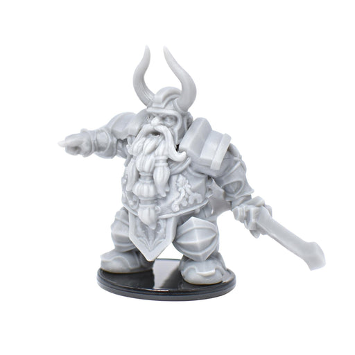dnd miniature Luther the King for dungeons and slaying dragons in tabletop wargaming.-Miniature-Miniatures of Madness- GriffonCo Shoppe