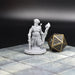dnd miniature Sultan Set for dungeons and slaying dragons in tabletop wargaming.-Miniature-EC3D- GriffonCo Shoppe