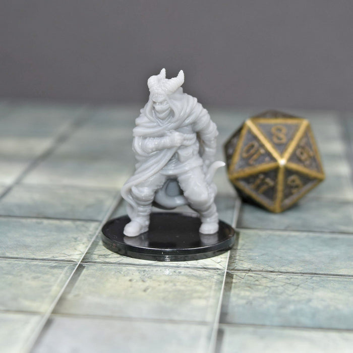 dnd miniature Tiefling Rogue Assassin for dungeons and slaying dragons in tabletop wargaming.-Miniature-Vae Victis- GriffonCo Shoppe