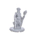 dnd miniature Vizier for dungeons and slaying dragons in tabletop wargaming.-Miniature-EC3D- GriffonCo Shoppe